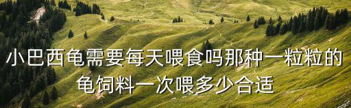 小巴西龜需要每天喂食嗎那種一粒粒的龜飼料一次喂多少合適