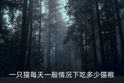 小奶貓一次吃多少，貓咪一頓飯吃多少比較合適
