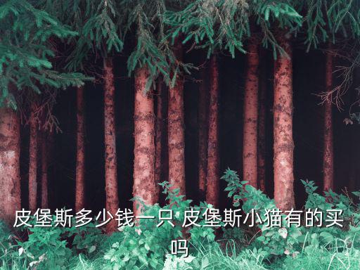 皮堡斯多少錢一只 皮堡斯小貓有的買嗎