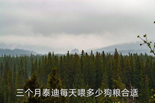三個(gè)月泰迪每天喂多少狗糧合適