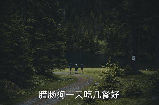 臘腸狗一天吃幾餐好