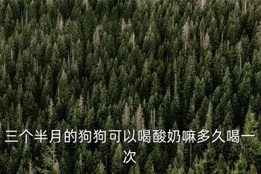 三個半月的狗狗可以喝酸奶嘛多久喝一次