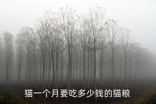 貓一個月要吃多少錢的貓糧