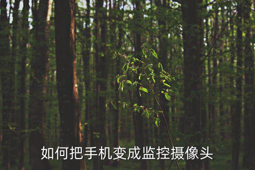 如何把手機變成監控攝像頭