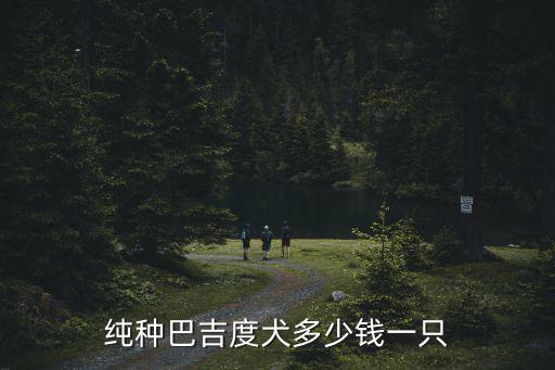 純種巴吉度犬多少錢一只