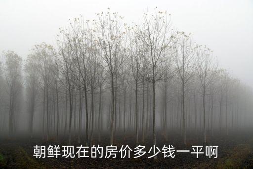 朝鮮哪個(gè)城市房?jī)r(jià)高，20萬(wàn)人民幣在朝鮮可以買(mǎi)多少房子