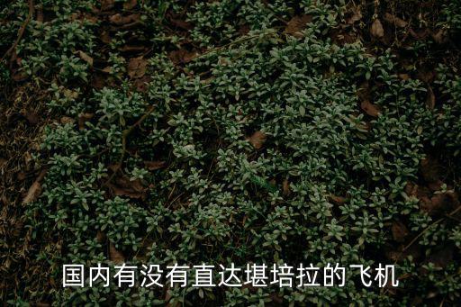 國內有沒有直達堪培拉的飛機