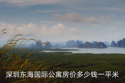 深圳香蜜湖房價多少一平米多少，2013年深圳的房價是多少