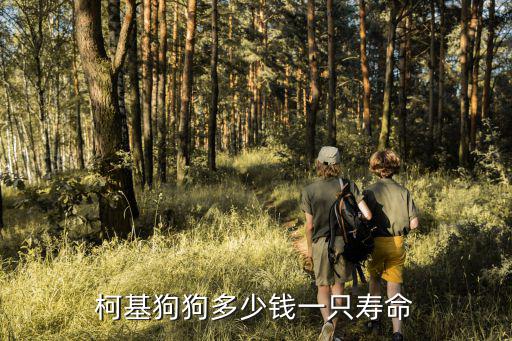 柯基狗狗多少錢一只壽命