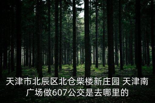 天津市北辰區北倉柴樓新莊園 天津南廣場做607公交是去哪里的