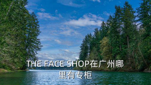 THE FACE SHOP在廣州哪里有專柜