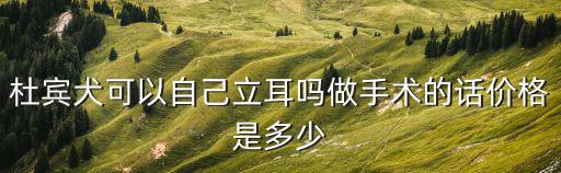杜賓犬可以自己立耳嗎做手術的話價格是多少