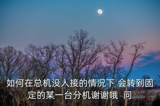 如何在總機沒人接的情況下 會轉(zhuǎn)到固定的某一臺分機謝謝哦  問