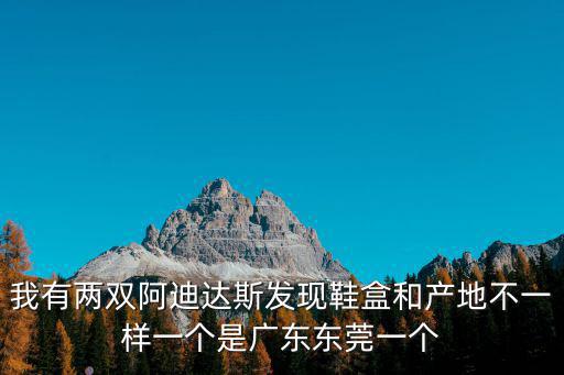 我有兩雙阿迪達斯發現鞋盒和產地不一樣一個是廣東東莞一個