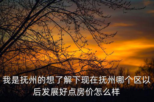 我是撫州的想了解下現在撫州哪個區以后發展好點房價怎么樣