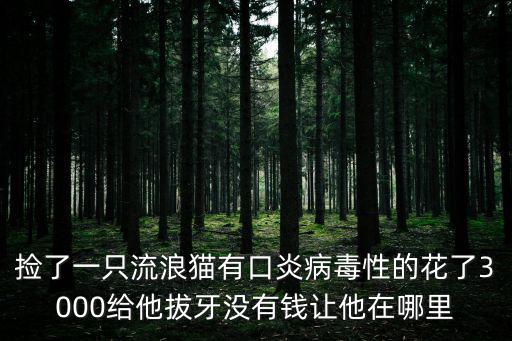貓口炎治療多少錢，貓得了口腔炎不花錢最簡單的方法