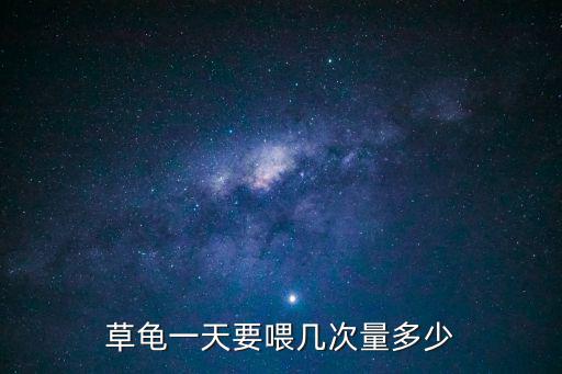 草龜一天要喂幾次量多少