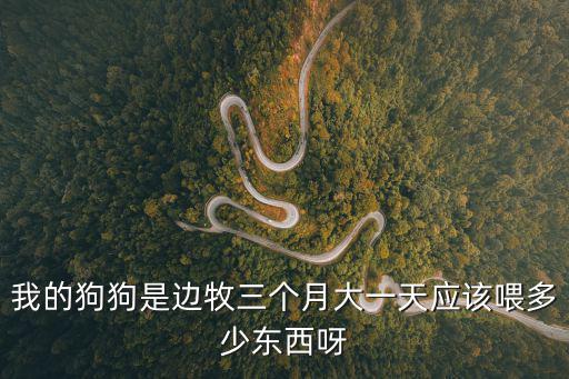 我的狗狗是邊牧三個(gè)月大一天應(yīng)該喂多少東西呀