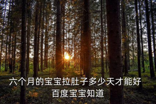 六個月的寶寶拉肚子多少天才能好  百度寶寶知道