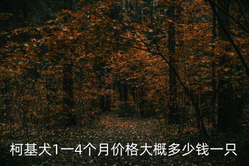 柯基犬1一4個月價格大概多少錢一只