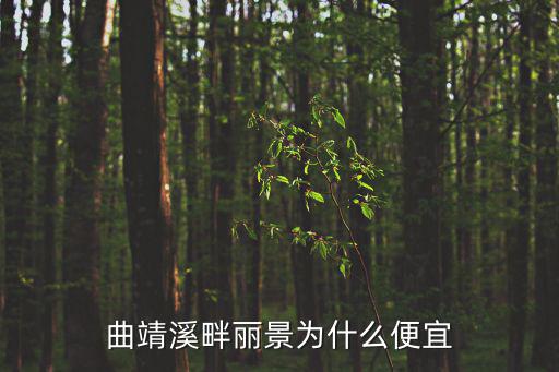 曲靖溪畔麗景為什么便宜