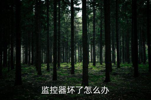 監控器壞了怎么辦