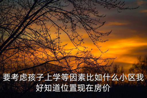 要考慮孩子上學等因素比如什么小區我好知道位置現在房價