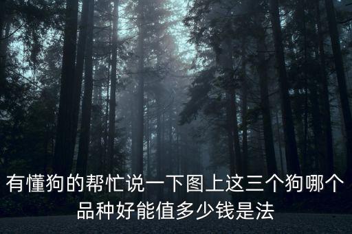 法斗多少錢或圖片，有懂狗的幫忙說一下圖上這三個狗哪個品種好能值多少錢是法