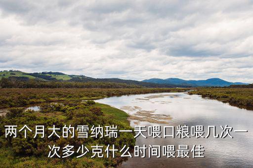 兩個月大的雪納瑞一天喂口糧喂幾次一次多少克什么時間喂最佳