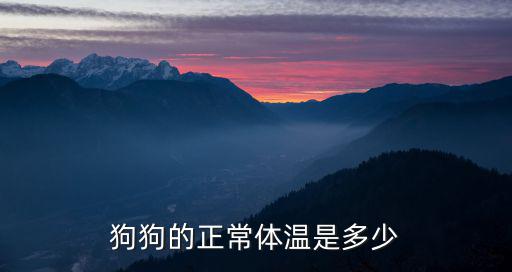 幼犬晚上的體溫是多少算正常嗎，狗狗體溫多少算正常