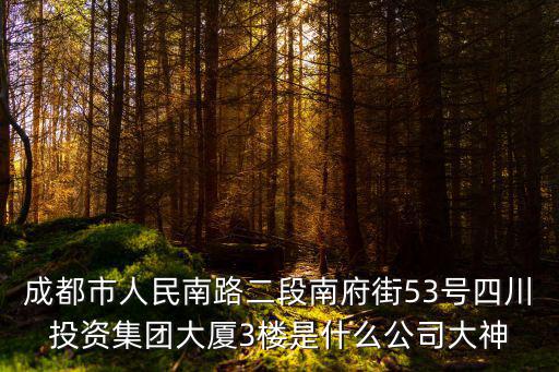 成都市人民南路二段南府街53號四川投資集團大廈3樓是什么公司大神