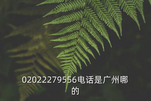 廣州春松科技有限公司電話號碼，02022279556電話是廣州哪的