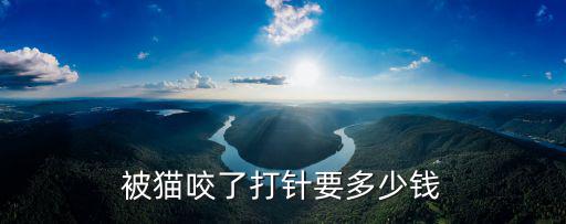 被貓咬了打針要多少錢