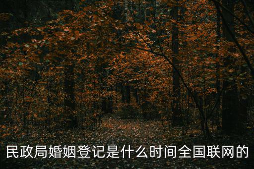 民政局婚姻登記是什么時間全國聯網的