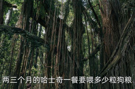 哈士奇倆月喂多少狗糧，哈士奇兩個多月吃多少狗糧才合適啊