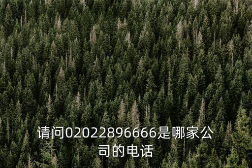 廣州初成塑業(yè)有限公司電話，請(qǐng)問02022896666是哪家公司的電話