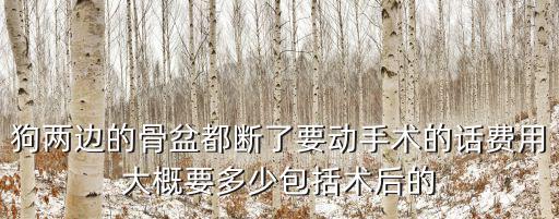 狗兩邊的骨盆都斷了要?jiǎng)邮中g(shù)的話費(fèi)用大概要多少包括術(shù)后的