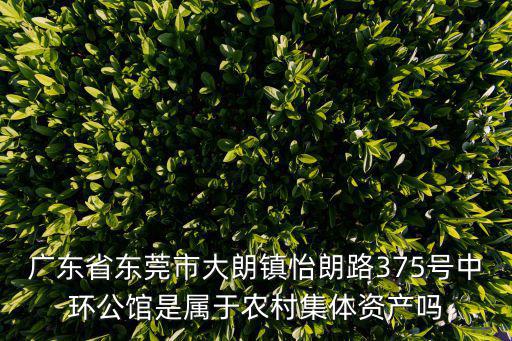 廣東省東莞市大朗鎮怡朗路375號中環公館是屬于農村集體資產嗎