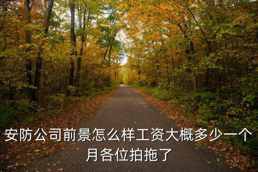 安防公司前景怎么樣工資大概多少一個月各位拍拖了