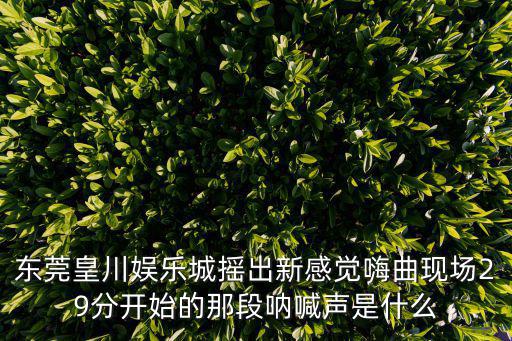 東莞皇川娛樂城搖出新感覺嗨曲現場29分開始的那段吶喊聲是什么