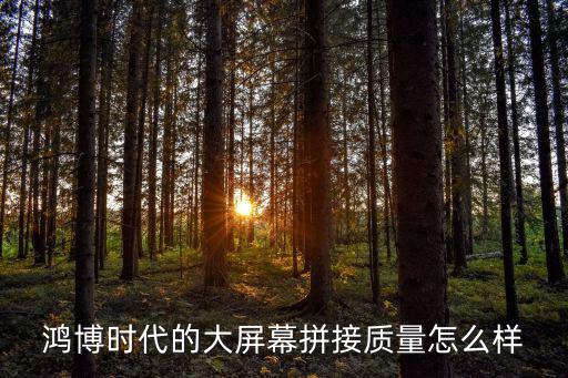 大屏幕拼接怎么樣，鴻博時代的大屏幕拼接質(zhì)量怎么樣
