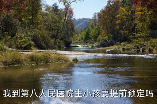 我到第八人民醫院生小孩要提前預定嗎