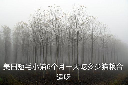 美國短毛小貓6個月一天吃多少貓糧合適呀
