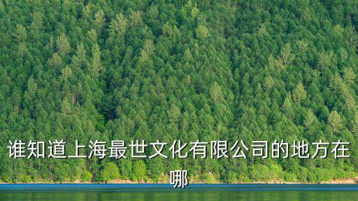 誰知道上海最世文化有限公司的地方在哪