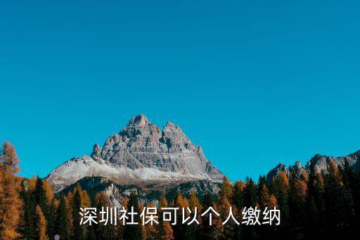 深圳社保可以個人繳納