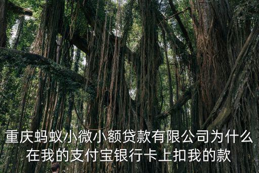 重慶市小微企業(yè)票據(jù)中心，重慶螞蟻小微小額貸款有限公司為什么在我的支付寶銀行卡上扣我的款