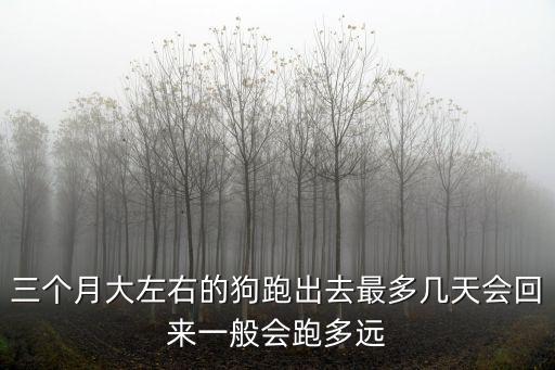 三個月大左右的狗跑出去最多幾天會回來一般會跑多遠