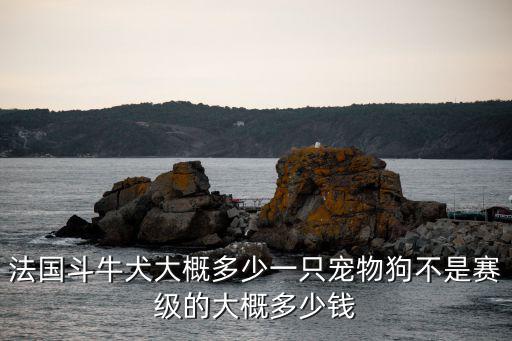 法國(guó)斗牛犬大概多少一只寵物狗不是賽級(jí)的大概多少錢(qián)