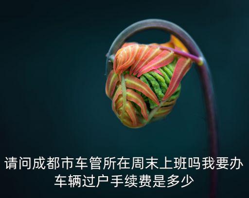 請問成都市車管所在周末上班嗎我要辦車輛過戶手續費是多少