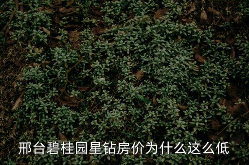 邢臺碧桂園星鉆房價為什么這么低